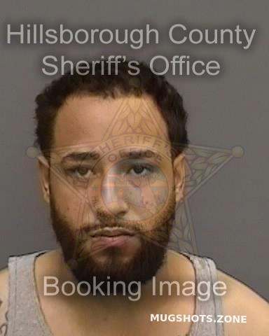 Liranzo Christopher Hillsborough County Mugshots Zone