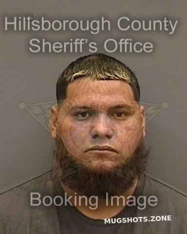 Fontanez Marrero Josue Hillsborough County Mugshots Zone