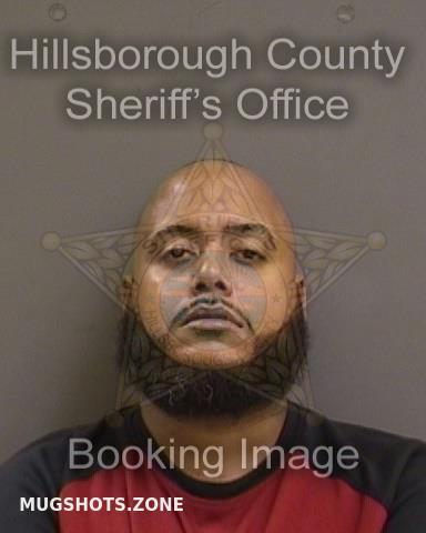 Canales Michael Hillsborough County Mugshots Zone