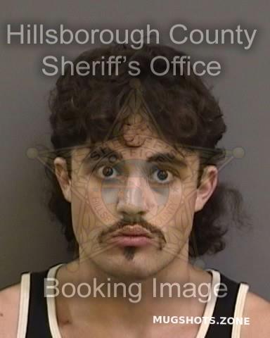 SARGEANT STEVEN 05 28 2022 Hillsborough County Mugshots Zone