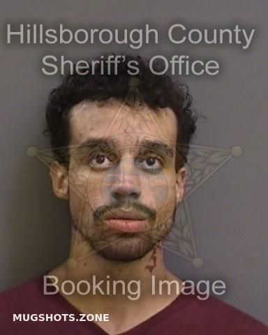 Medlin Soto John Hillsborough County Mugshots Zone