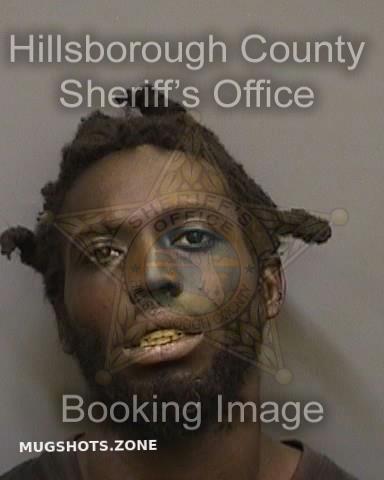 BARNES DAVID 07 10 2022 Hillsborough County Mugshots Zone