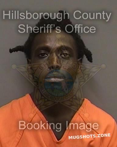 Barnes David Hillsborough County Mugshots Zone