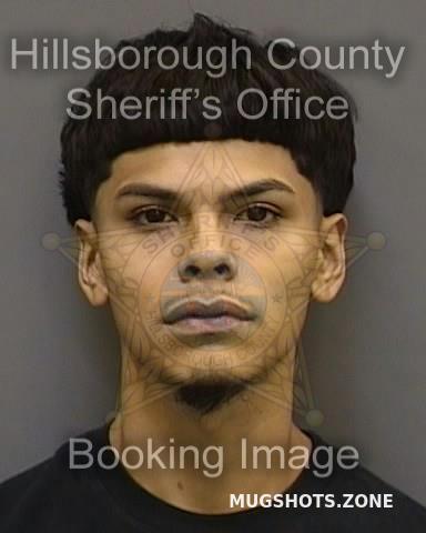 Rangel Rigoberto Jr Hillsborough County Mugshots Zone