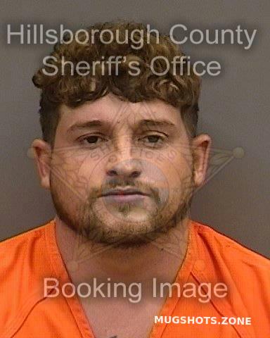 Ravelo Peter Hillsborough County Mugshots Zone