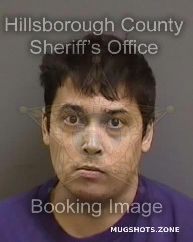 REYLE PETER 08 31 2022 Hillsborough County Mugshots Zone