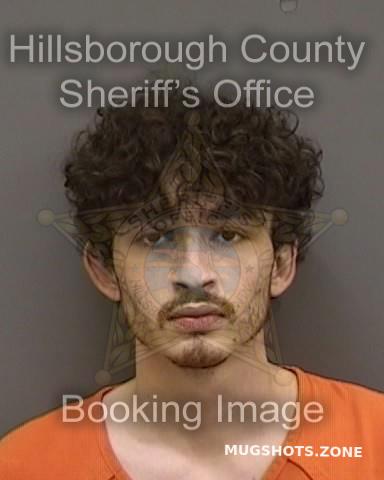 Breneisen Nathan Hillsborough County Mugshots Zone