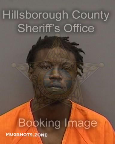 Brown Gregory Hillsborough County Mugshots Zone