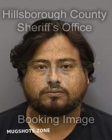 Castro Gutierrez Fernando Hillsborough County Mugshots Zone