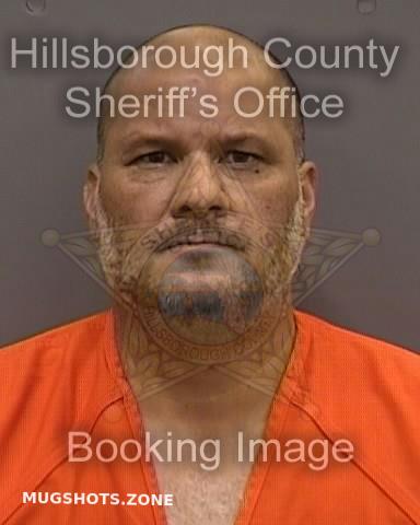 Sekulits Giovanny Hillsborough County Mugshots Zone