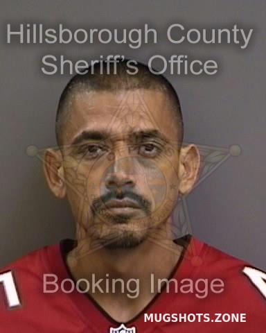 Yebra Peter Hillsborough County Mugshots Zone