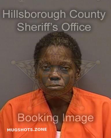 Mcdonald Minnie Hillsborough County Mugshots Zone