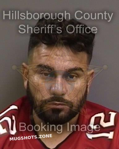 Gonzalez Roman Jose Hillsborough County Mugshots Zone