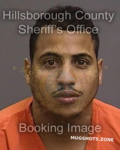 Gonzalez Yalianluis Hillsborough County Mugshots Zone