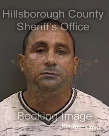 Arias Hidalgo Ramon Hillsborough County Mugshots Zone