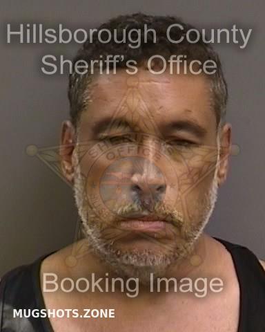 Carlson Aaron Hillsborough County Mugshots Zone