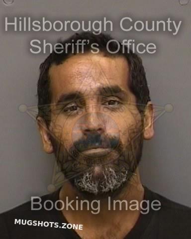 Miranda Miguel Hillsborough County Mugshots Zone