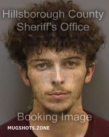 Flowers Michael J Hillsborough County Mugshots Zone