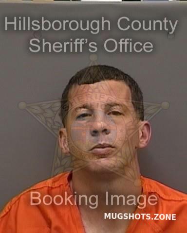 Guzzi Thomas Hillsborough County Mugshots Zone