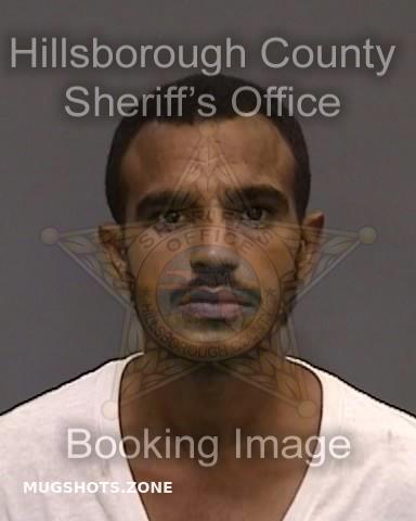 Gonzalez Rene Hillsborough County Mugshots Zone