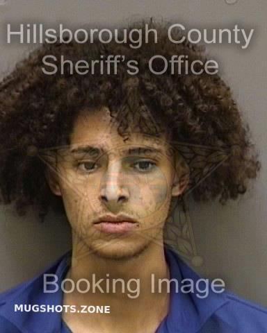 Amar Samy Hillsborough County Mugshots Zone