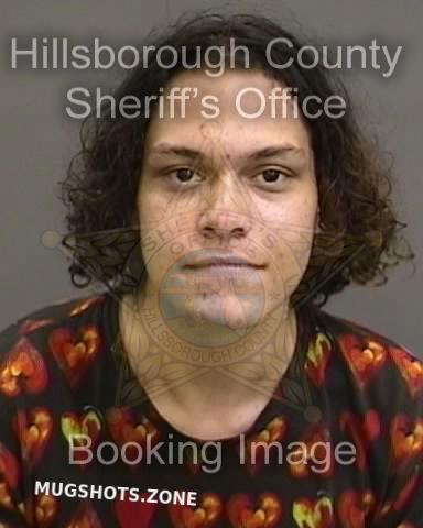 LUKE ELIJAH 11 22 2022 Hillsborough County Mugshots Zone