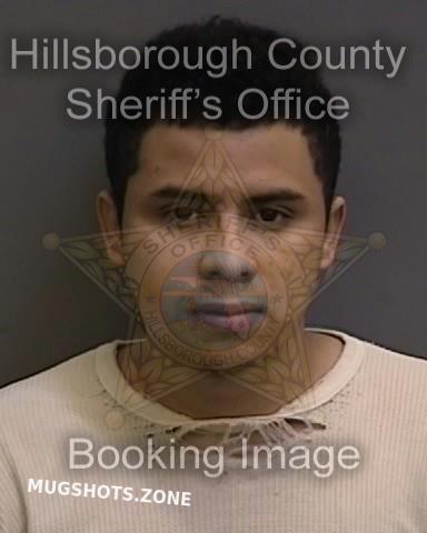 Lopez Garson Hillsborough County Mugshots Zone