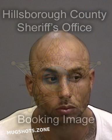 Santiago Jose Jr Hillsborough County Mugshots Zone