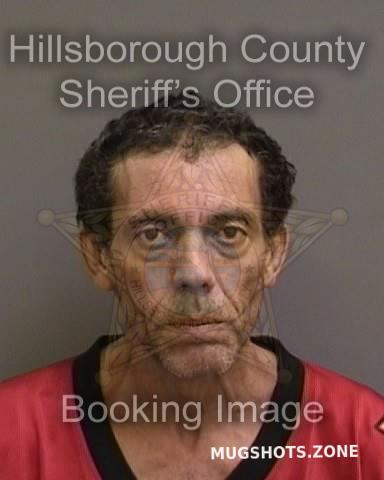 Valentin Rivera Jose Hillsborough County Mugshots Zone