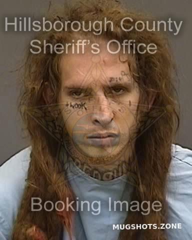 Alessandrini Michael Hillsborough County Mugshots Zone