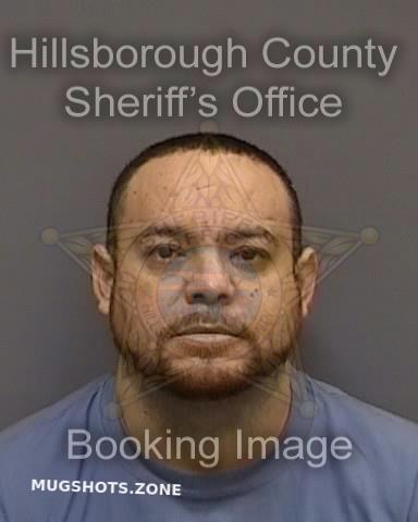 Gutierrez Gerardo Jr Hillsborough County Mugshots Zone