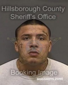 STEWART RAYMOND 12 22 2022 Hillsborough County Mugshots Zone