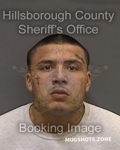 Stewart Raymond Hillsborough County Mugshots Zone