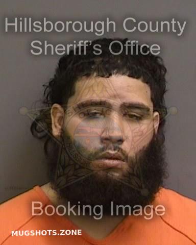 Zambrana Fernando Hillsborough County Mugshots Zone