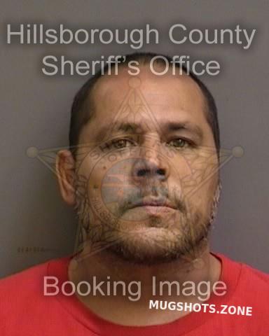 Pacheco Miguel Hillsborough County Mugshots Zone