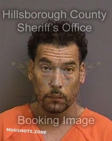 Morales Luis Hillsborough County Mugshots Zone