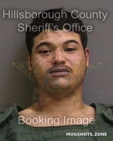 Abad Daniel Hillsborough County Mugshots Zone