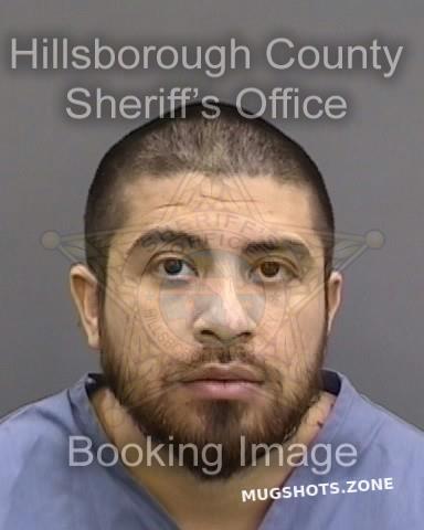 Cossio Victor Hillsborough County Mugshots Zone