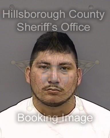 Gutierrez Sanchez Reynaldo Hillsborough County Mugshots Zone