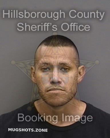 Garcia Gerardo Jr Hillsborough County Mugshots Zone