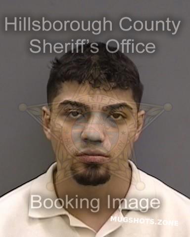 Rivera Andrew Hillsborough County Mugshots Zone