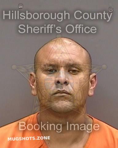 Avila Oscar Hillsborough County Mugshots Zone