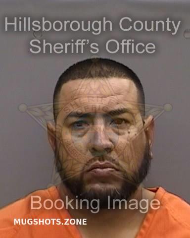 SANDERS TERRY 04 02 2023 Hillsborough County Mugshots Zone