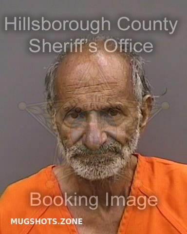 Delvecchio Louis Hillsborough County Mugshots Zone