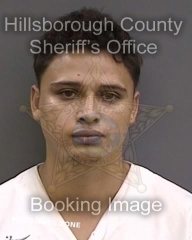 Ortiz Gonzalez Nicolas Hillsborough County Mugshots Zone