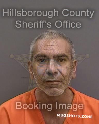 Torres Manuel Jr Hillsborough County Mugshots Zone