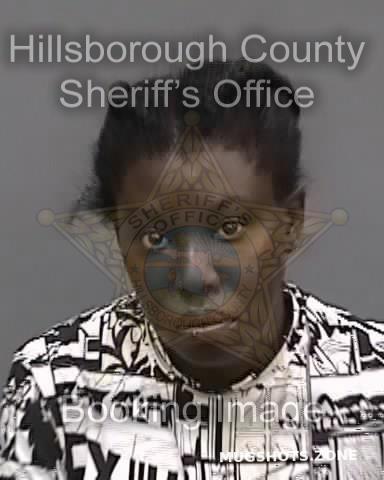 HALE CRYSTAL 05 02 2023 Hillsborough County Mugshots Zone