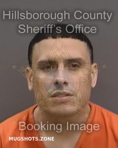 Garcia Delgado Jorge Hillsborough County Mugshots Zone