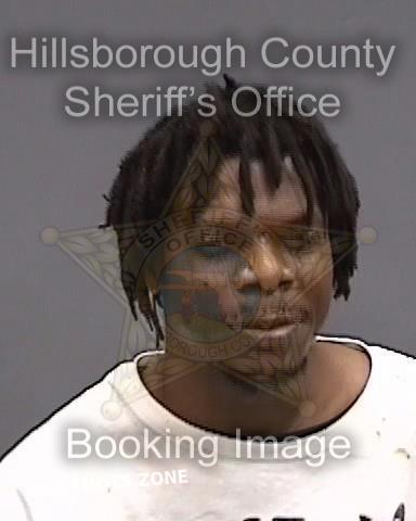 Byrd Cornelius Jr Hillsborough County Mugshots Zone