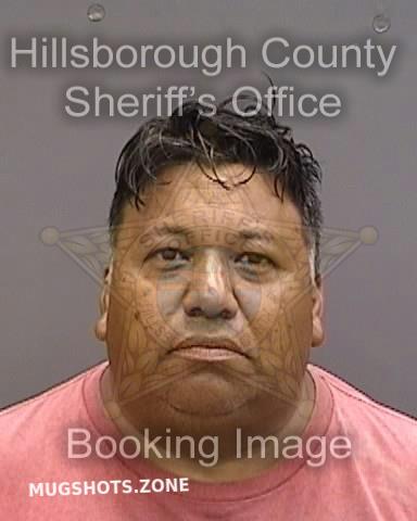 Ramos Gomez Vilvian Hillsborough County Mugshots Zone